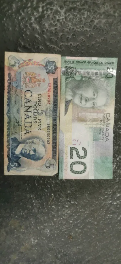 collector's dolars image indicator(2)