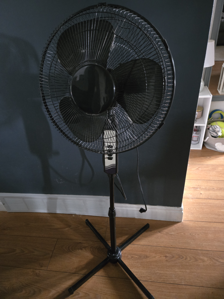 Black Standing Fan 🥕