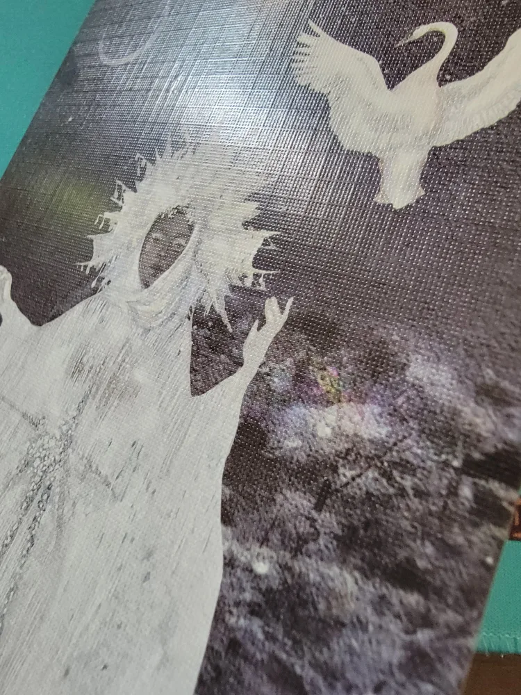 🥕 3 Stickii Club Postcards image indicator(3)