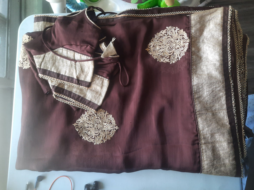 Brown & Gold Sari
