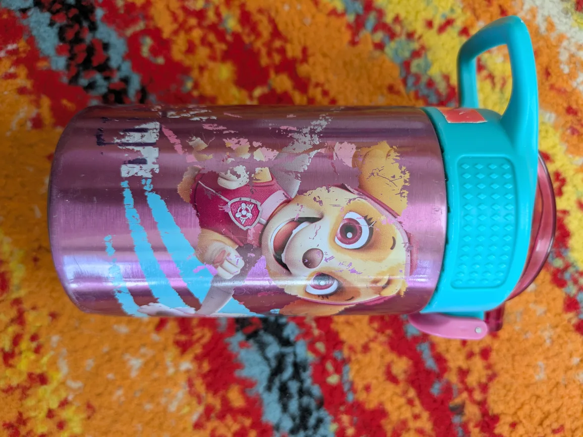 Paw Patrol Skye Stainless Steel Water Bottle thumbnail