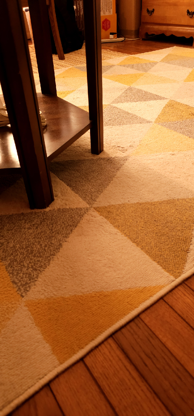 Wool/Cotton Area Rug- Moving sale - photo 2