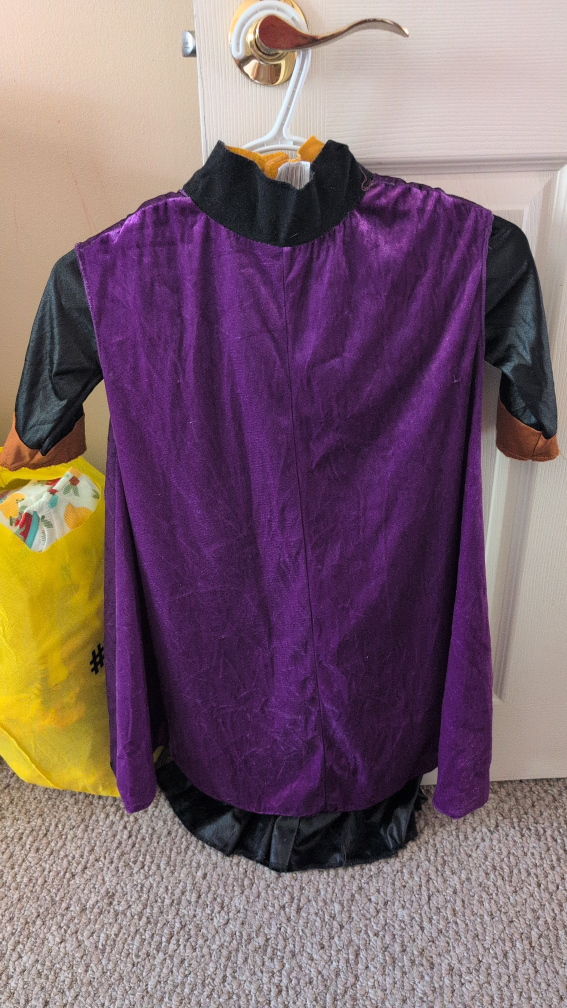 Disney Frozen II Anna Costume - photo 3