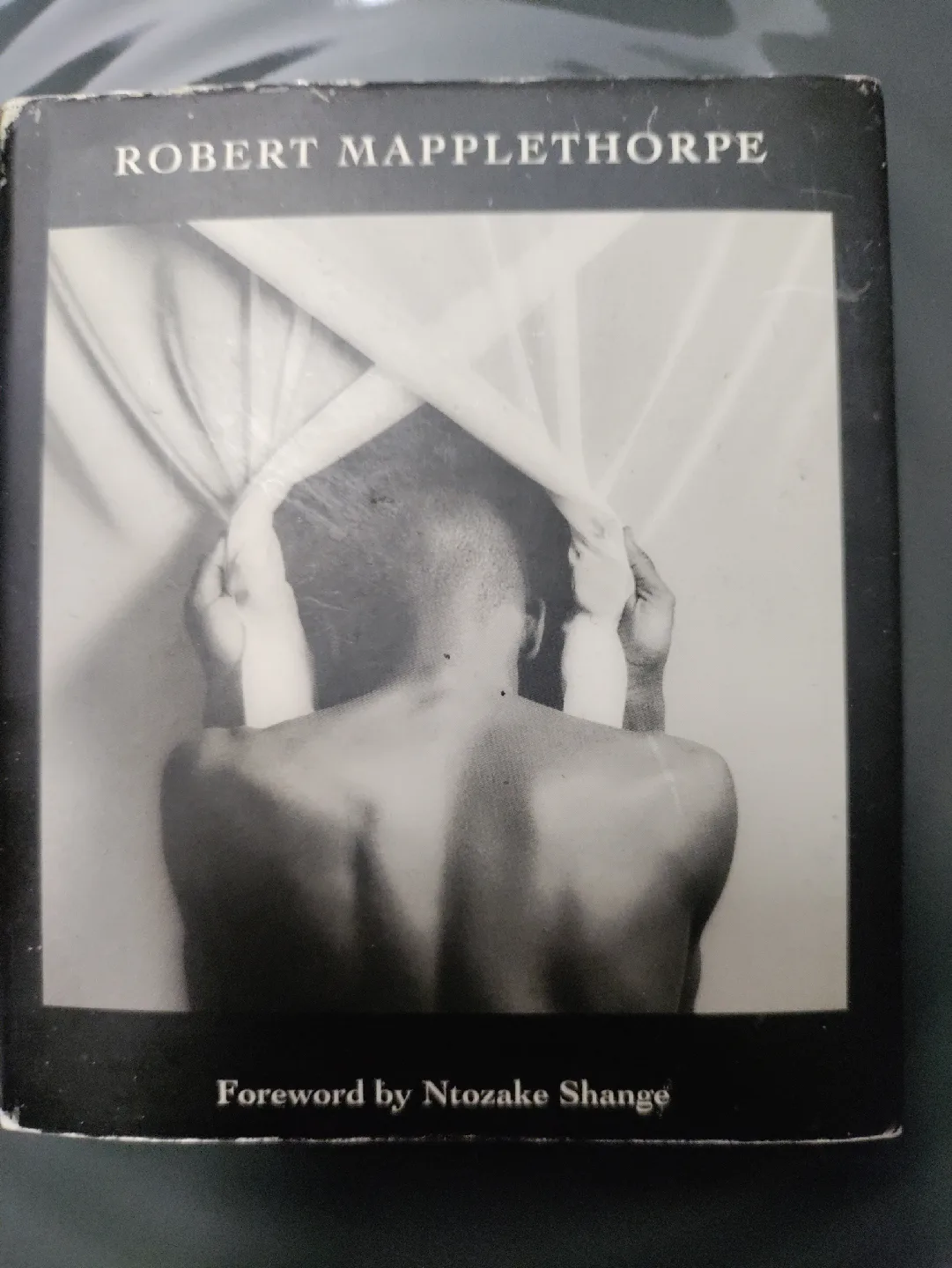 Robert Mapplethorpe - Black Book Mini image indicator(2)