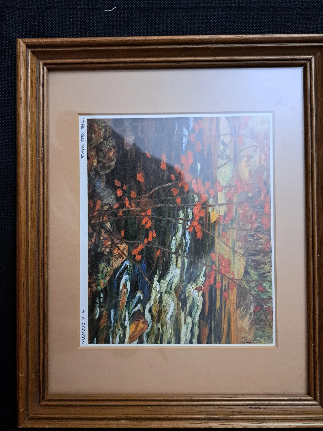 A. Y. Jackson "The Red Maple" Framed Print thumbnail