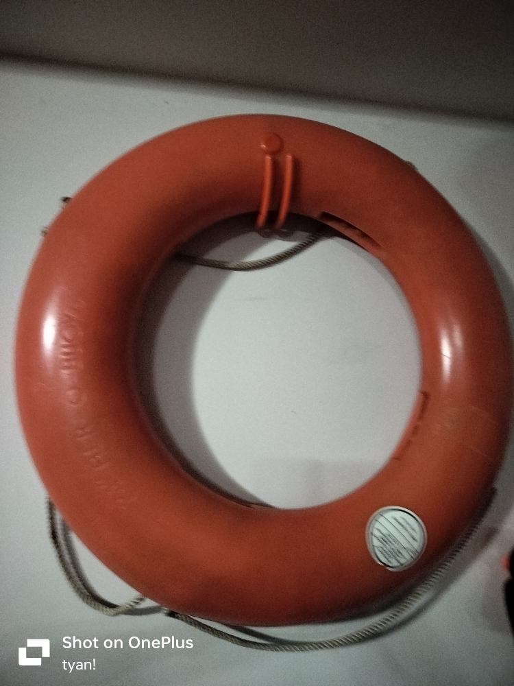 2.3KG Life Preserver - photo 2