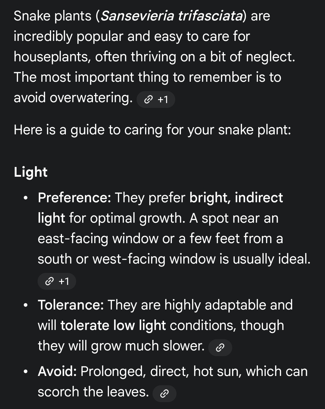 Snake Plant with White Pot and Metal Stand - photo 2