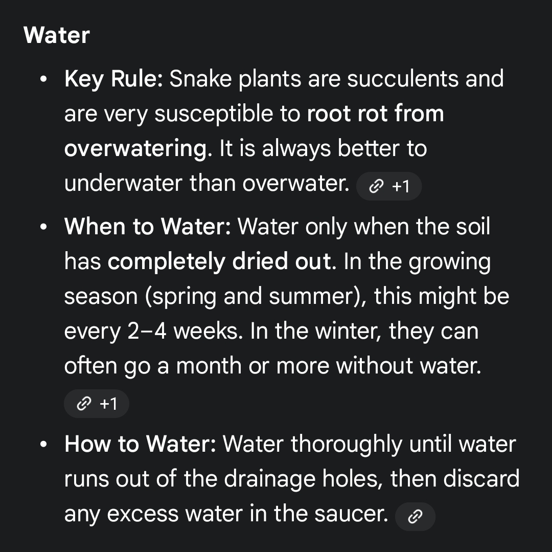 Snake Plant with White Pot and Metal Stand - photo 3