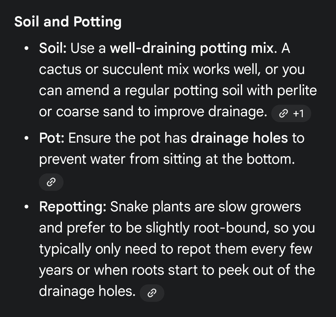 Snake Plant with White Pot and Metal Stand - photo 4