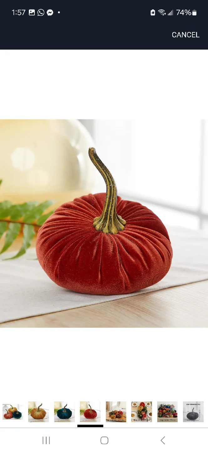 Velvet Pumpkins - Fall Decor image indicator(4)