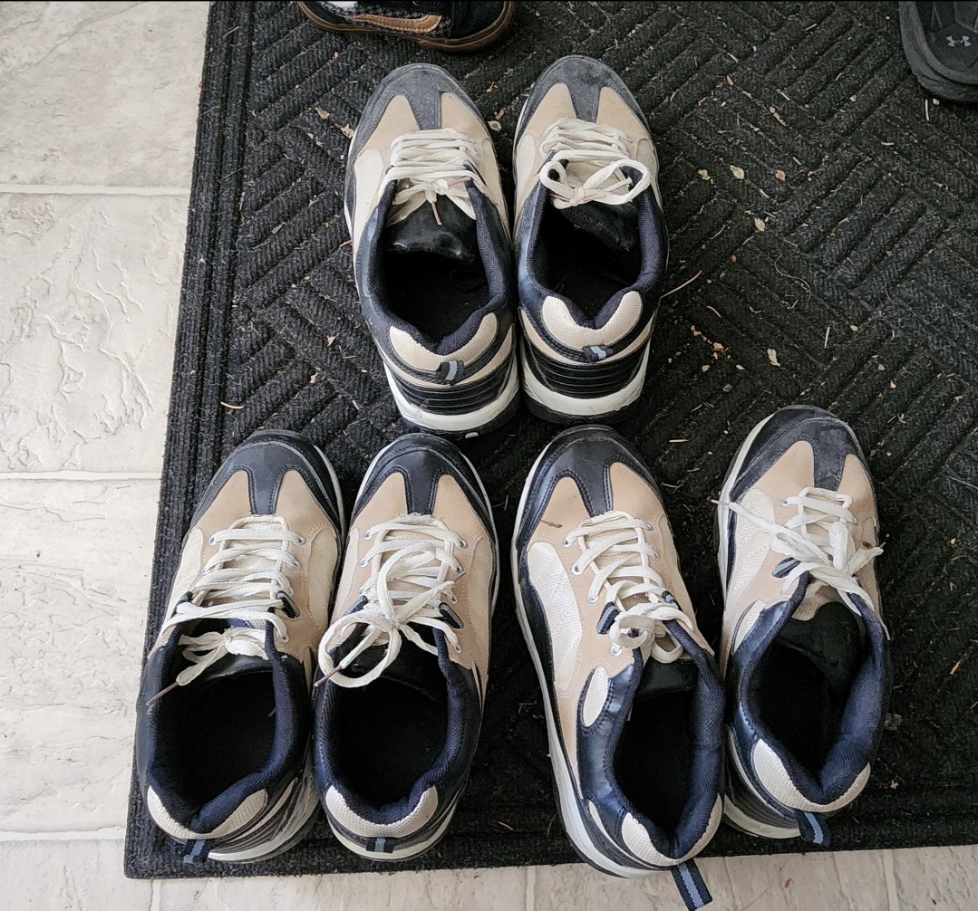 Brand New Wheelie Shoes $30 Each Pair