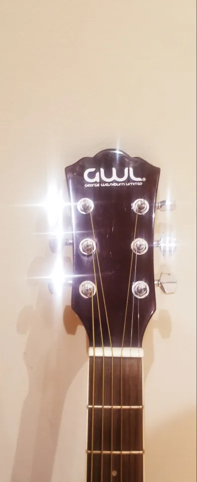 GWL George Washburn Limited Acoustic Guitar image indicator(2)