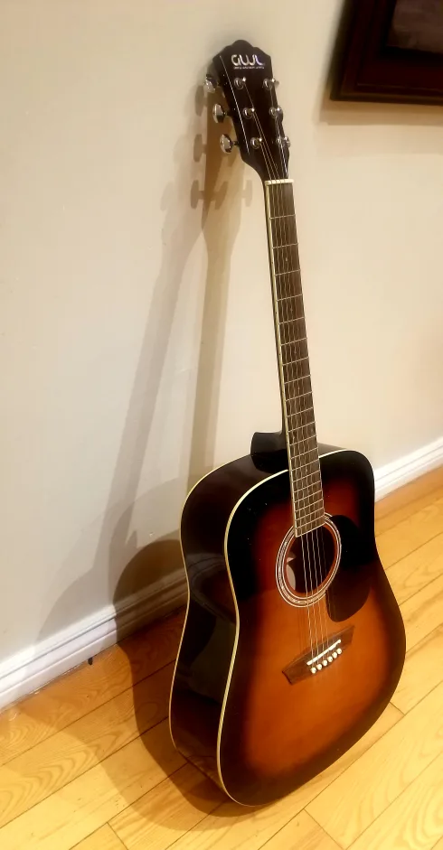 GWL George Washburn Limited Acoustic Guitar image indicator(3)