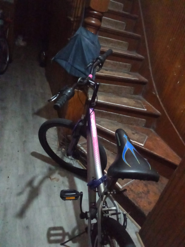 Scepter Bike - Silver & Pink