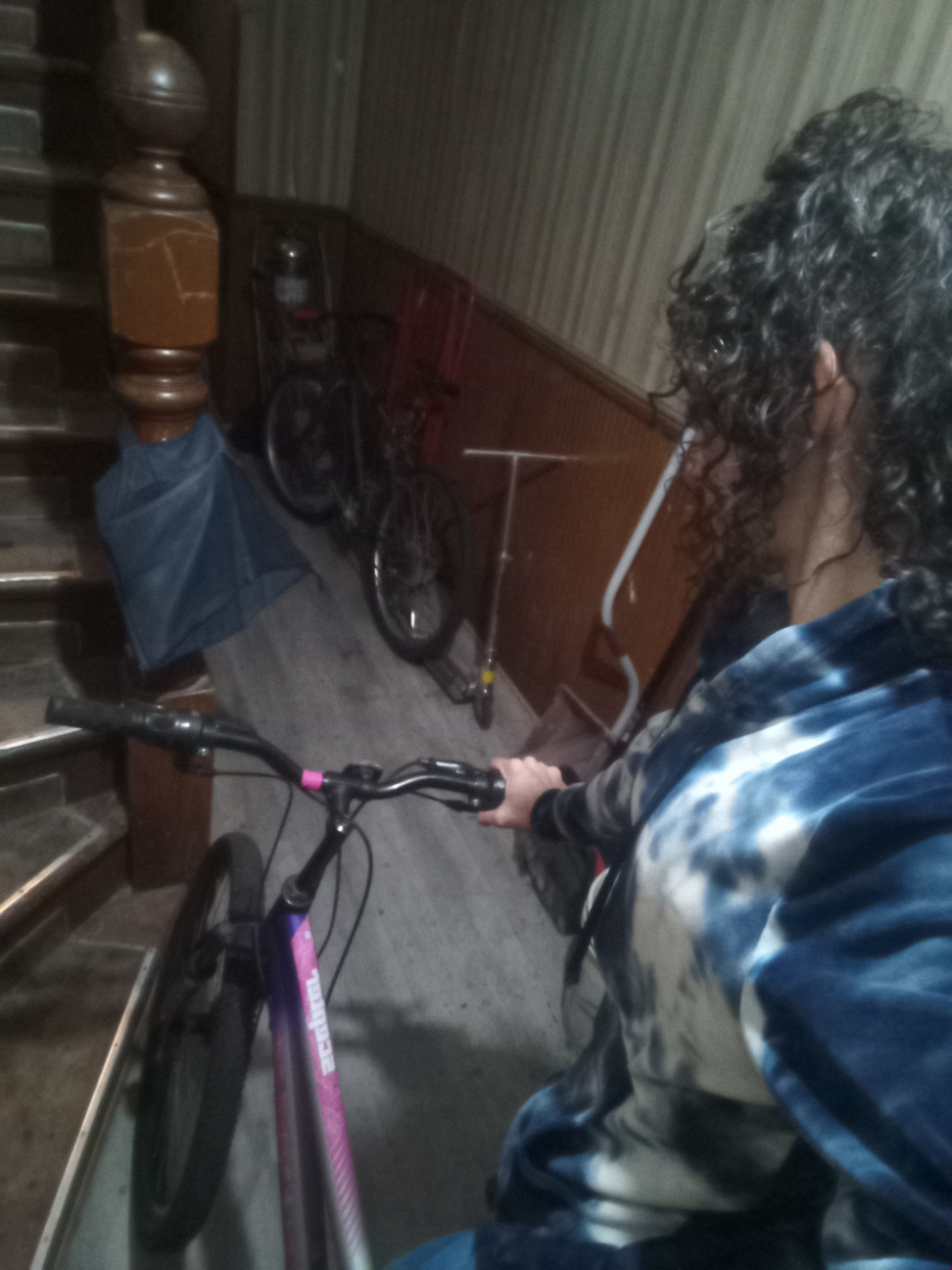 Scepter Bike - Silver & Pink - photo 2