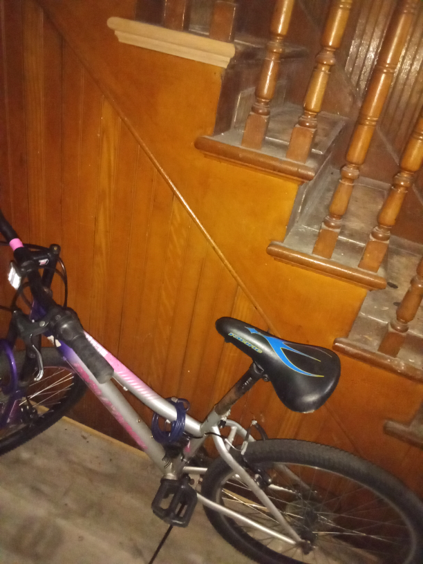 Scepter Bike - Silver & Pink - photo 3