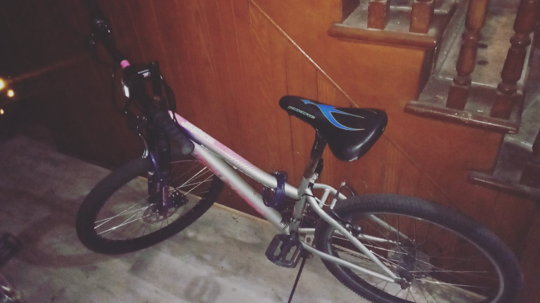 Scepter Bike - Silver & Pink - photo 4
