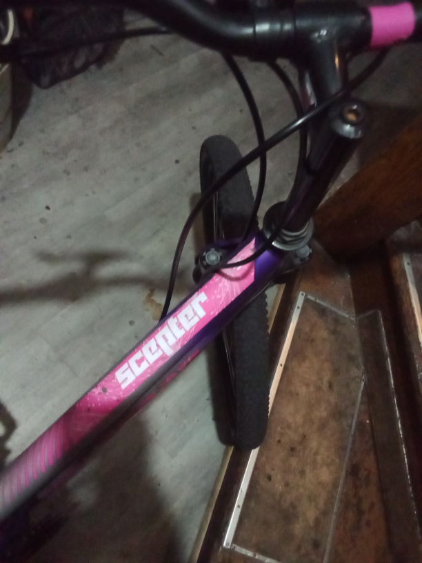 Scepter Bike - Silver & Pink - photo 5
