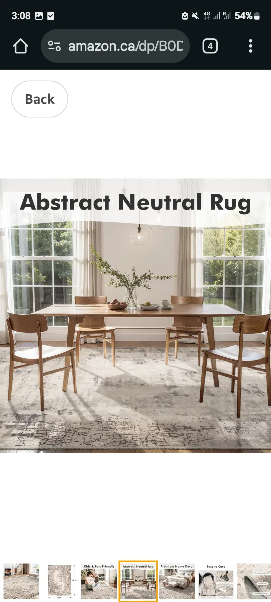 Abstract Neutral Area Rug image indicator(5)