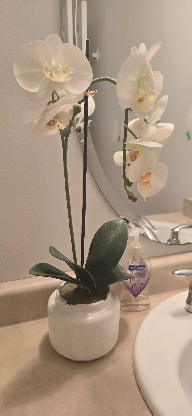 Artificial Orchid Plant in White Pot thumbnail