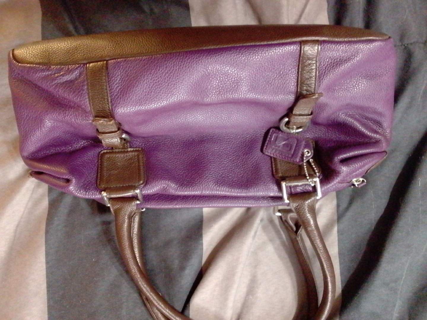 Coach Purple Leather Handbag