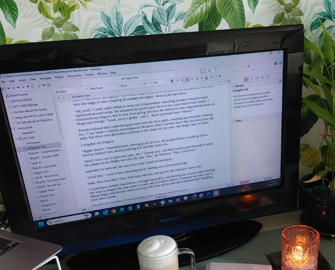 Toshiba TV image indicator(2)