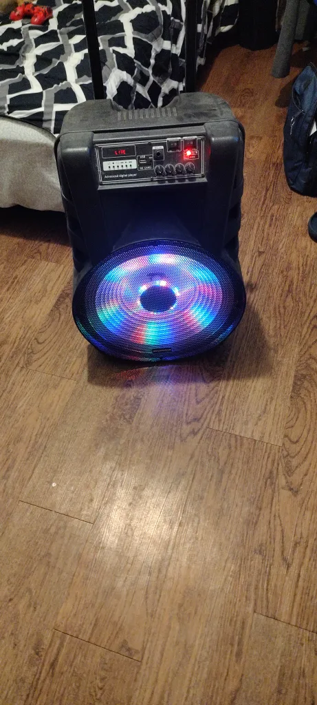 rave speaker Sylvania pro speaker rattled my windows image indicator(4)