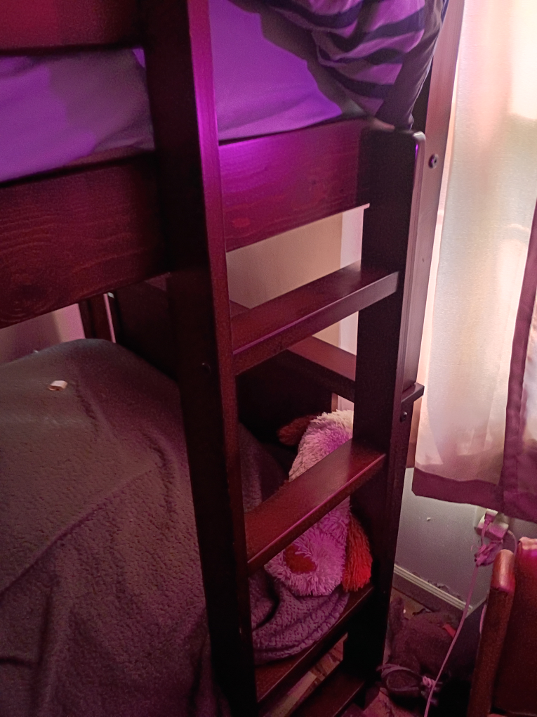Wooden Bunk Bed Frame - photo 2