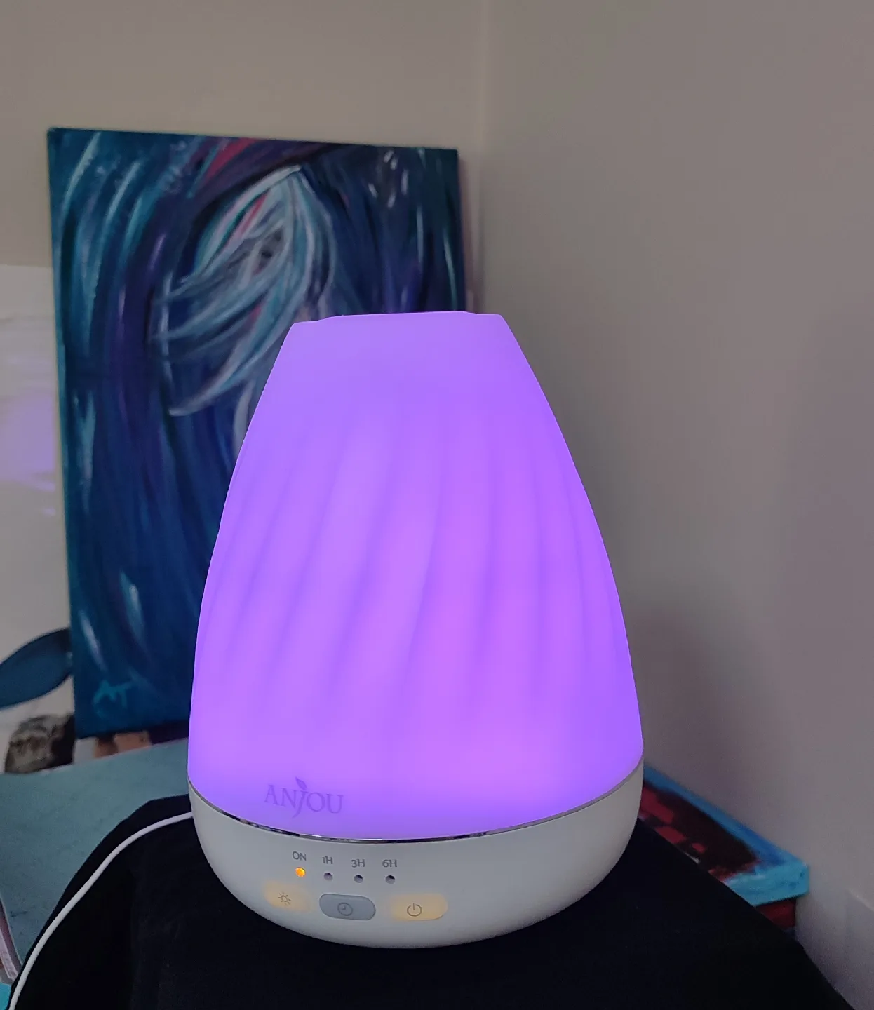Anjou Aroma Diffuser and box of aromatherapy oils image indicator(2)