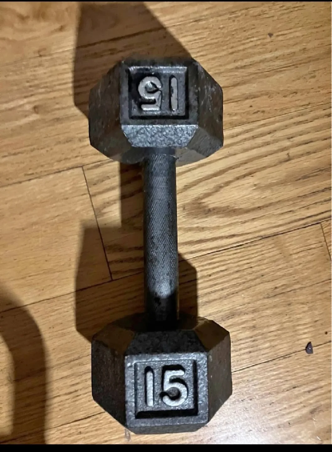 15 lb Dumbbell thumbnail