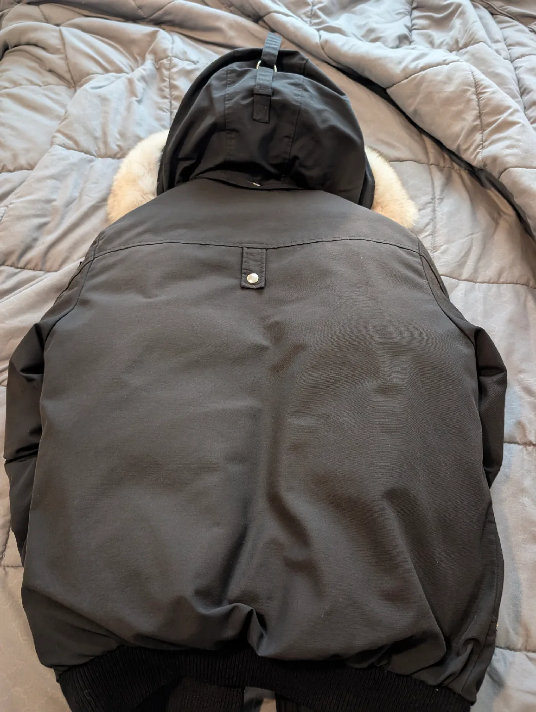 Moose Knuckles Bomber Jacket, Black. Size Medium image indicator(5)