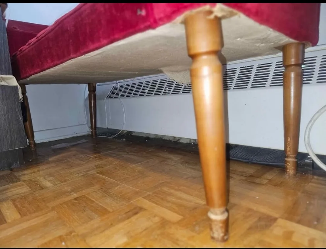 Red Tufted Chaise Lounge image indicator(3)