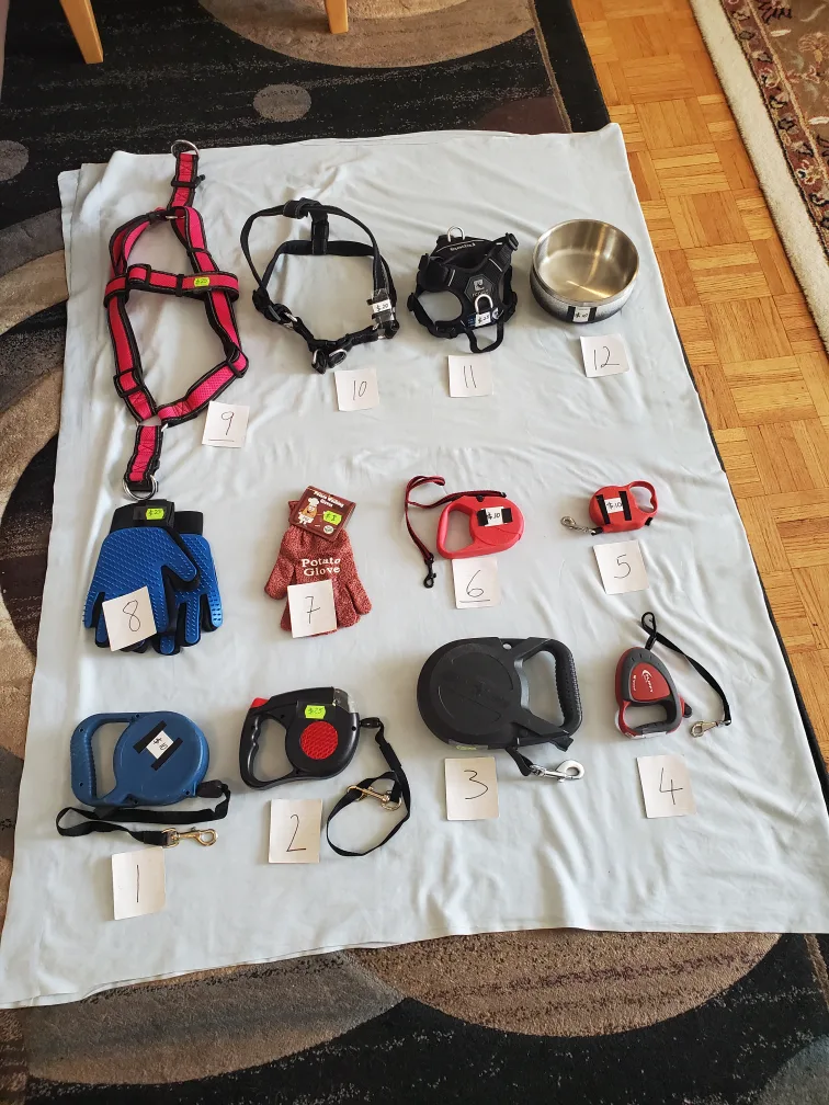 Dog Leash/ Harness/ Bow and Grooming Gloves thumbnail