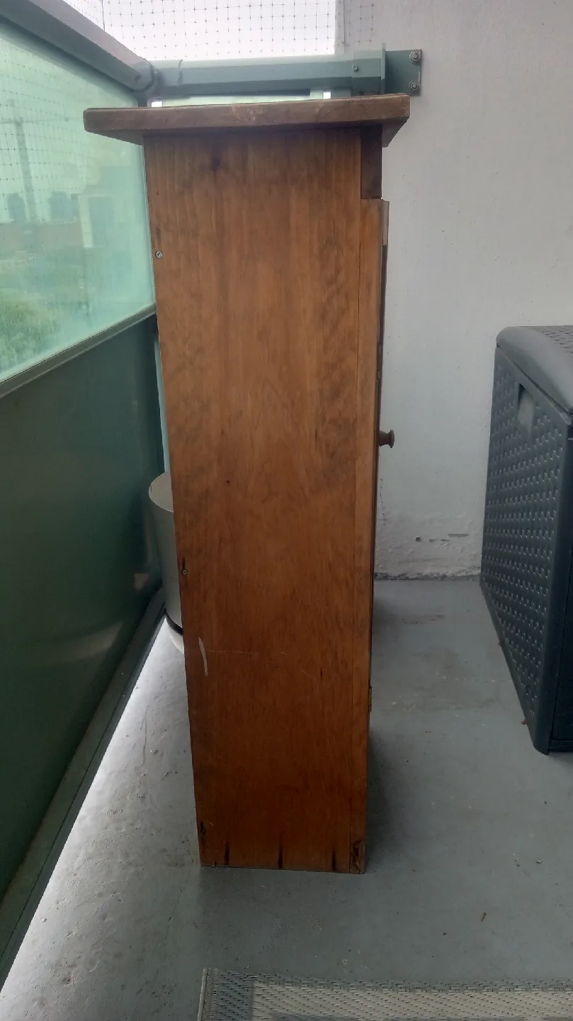 Wooden Cabinet with Mesh Door image indicator(4)