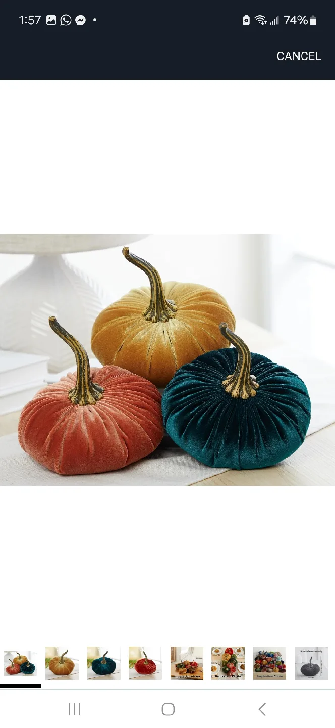 Velvet Pumpkins - Fall Decor thumbnail