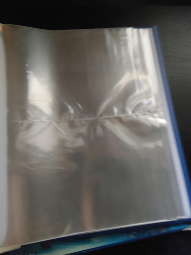 Photo Album - photo 2