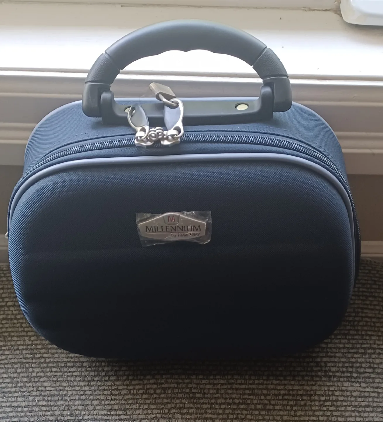 Millennium Travel Cosmetic Case image indicator(4)