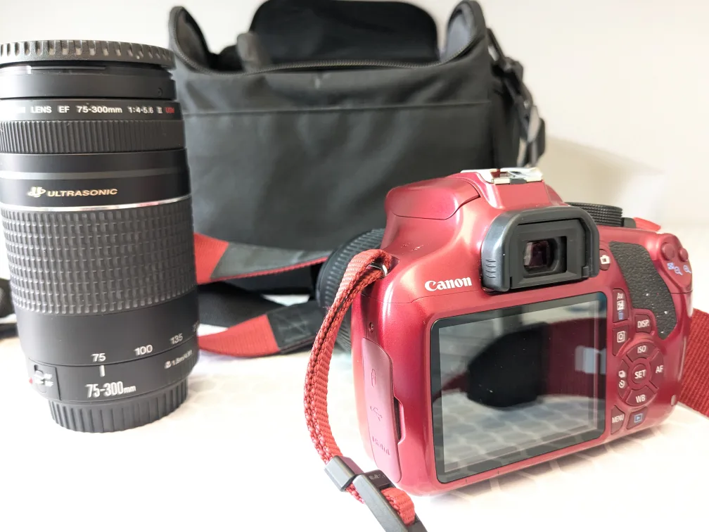 Canon EOS Rebel T5 Digital Camera Set image indicator(5)