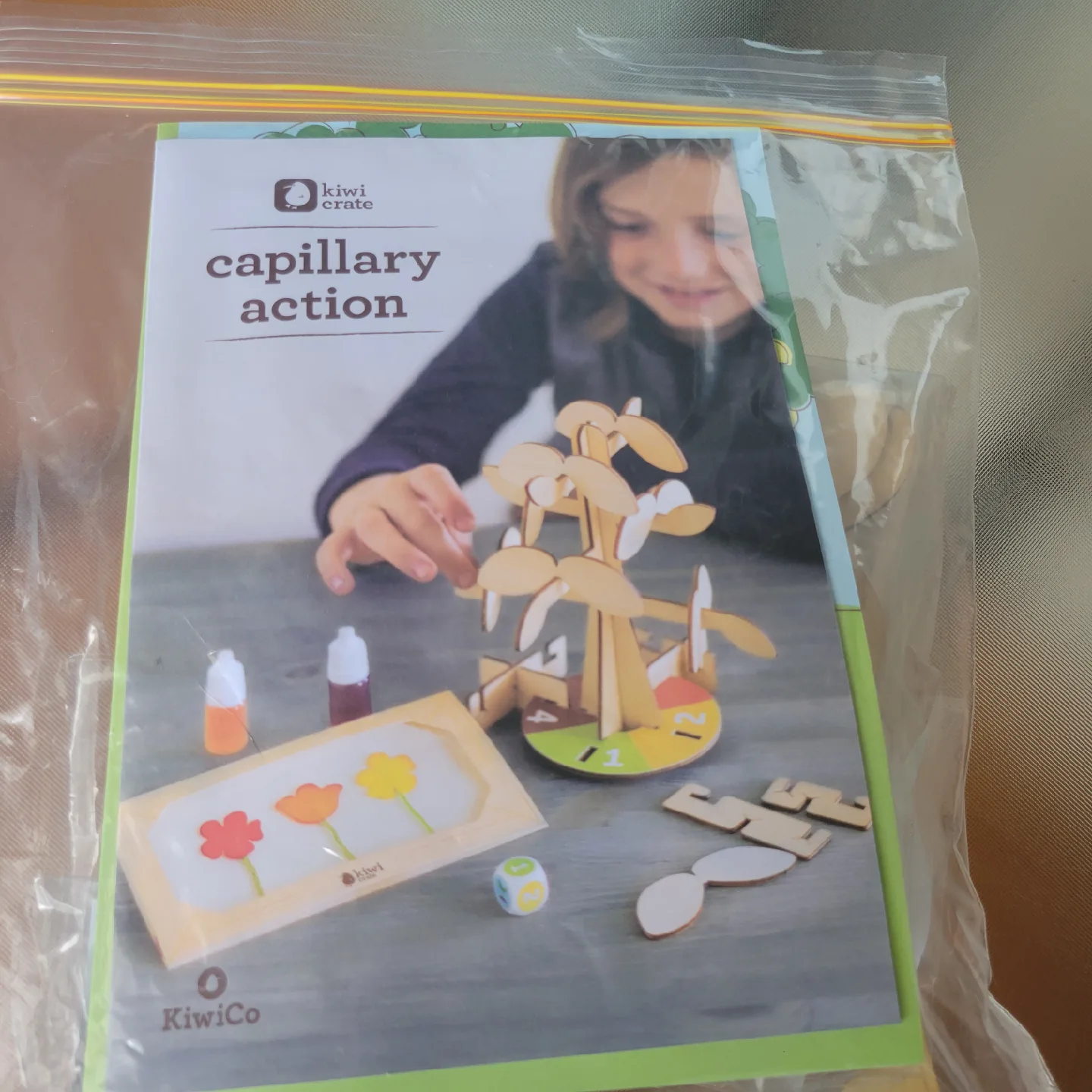 KiwiCo Capillary Action Science Kit thumbnail
