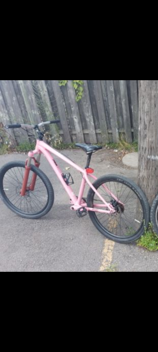 Pink GT Labomba Mountain bike