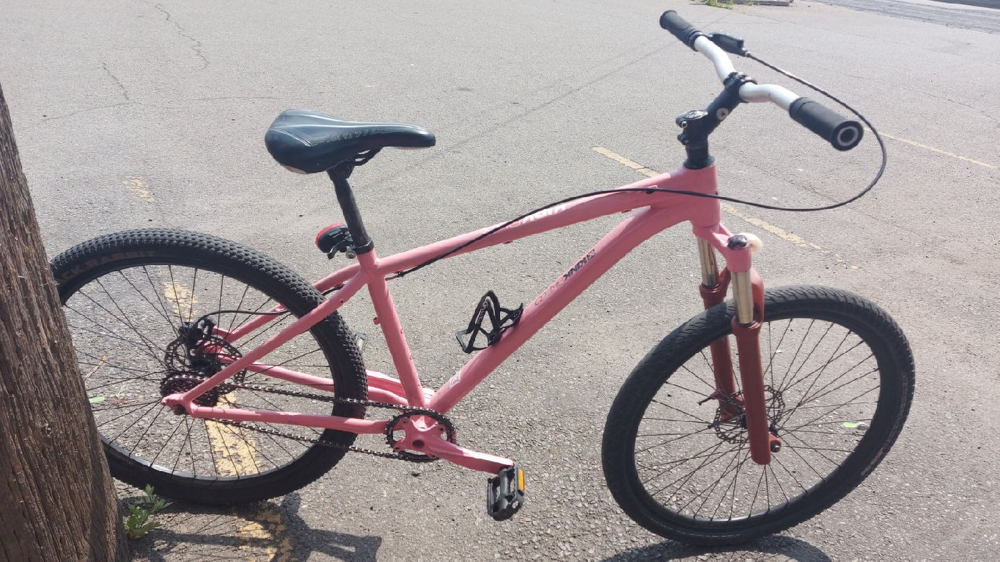 Pink GT Labomba Mountain bike - photo 4