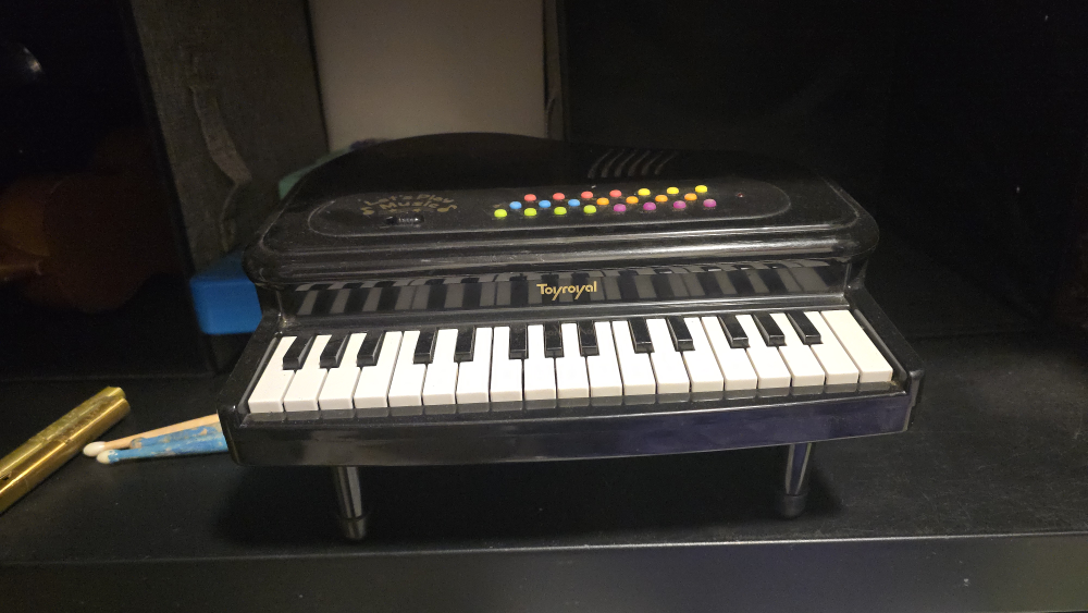 🥕 Toyroyal Let's Play Music Piano