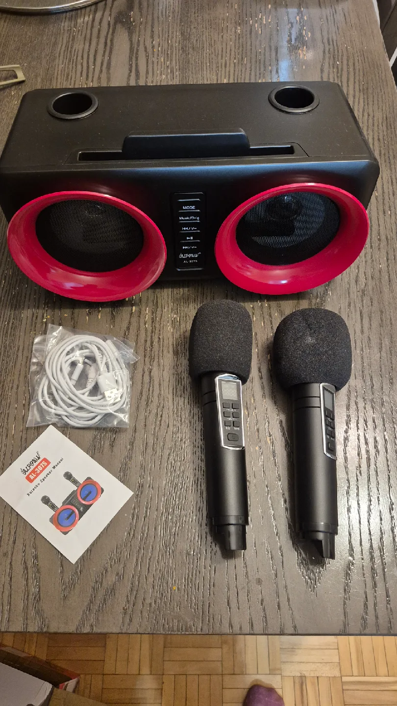 AL-307S Karaoke Family KTV Speaker