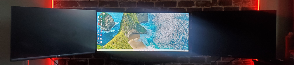2 Dell S2421NX 24 inch Monitor and a dual stand monitor for 100 - photo 2
