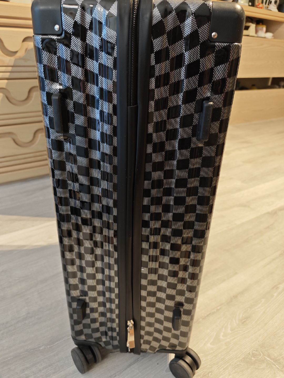 Checked Luggage Suitcase - photo 4