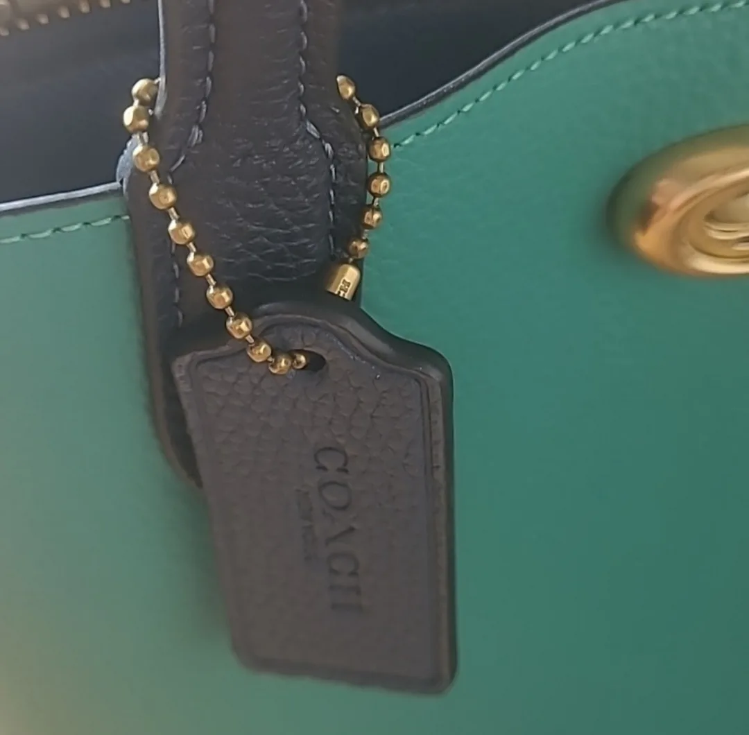 Coach  Willow Tote  24 In Colorblock image indicator(8)