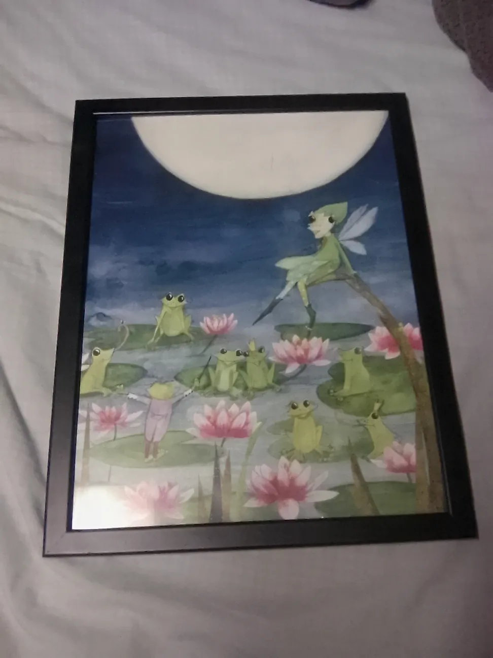 Artwork fairy & frogs 🥕 thumbnail