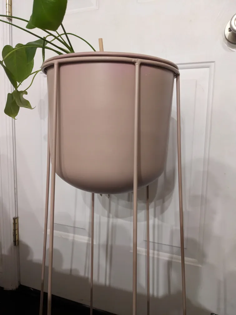 🥕Celeste Plant Stand  $90 image indicator(5)