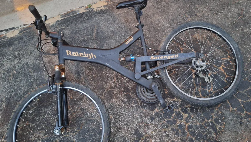 Raleigh Serengeti 6061 Bike size large 19 image indicator(2)