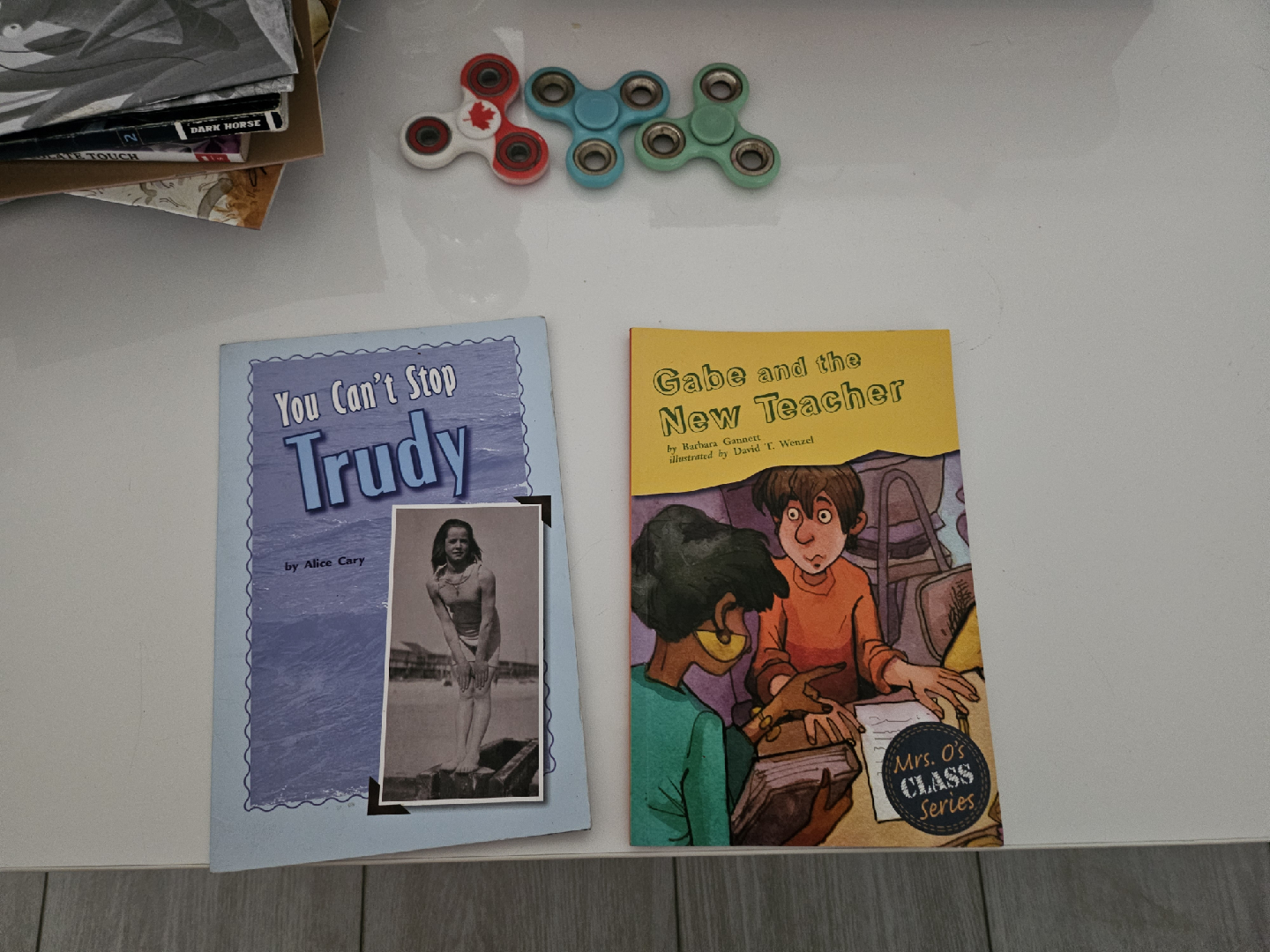 Children's Books - Various Titles and Fidget Spinners - photo 3
